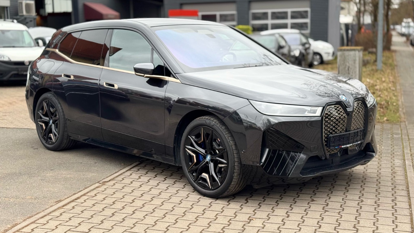 BMW iX xDrive40 thumbnail 10