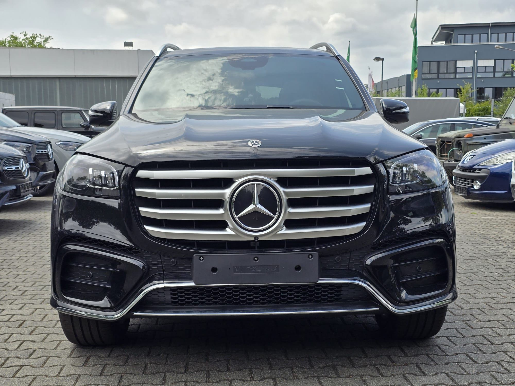 Mercedes Benz GLS 450d thumbnail 2